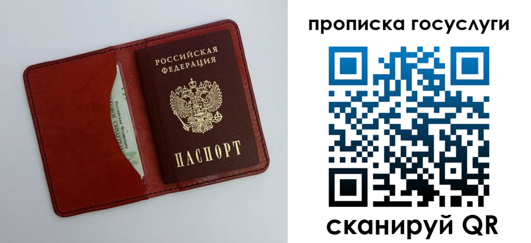 прописка паспорт в Щёлково